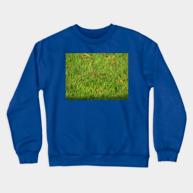 Leafing through Crewneck Sweatshirt by FriendlyComputerHelp